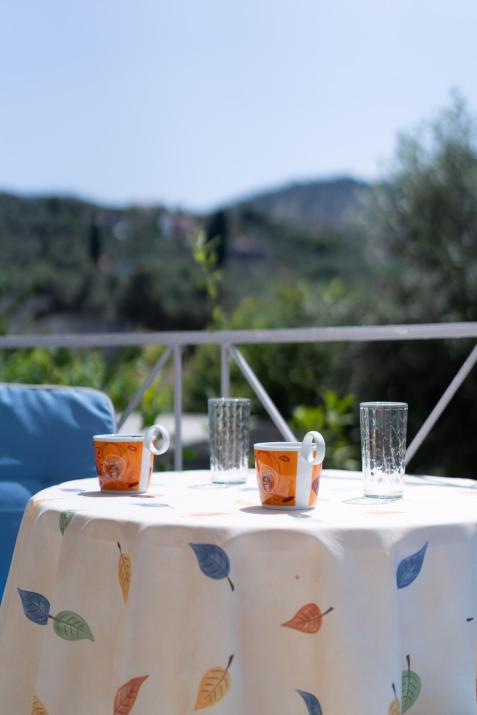 3-BR Sea View Villa with Garden in Mytilene