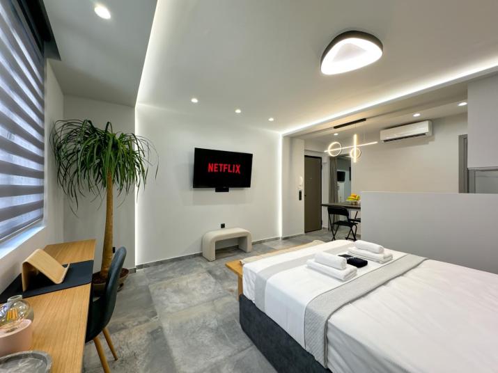 Luxury Downtown Apartment A6