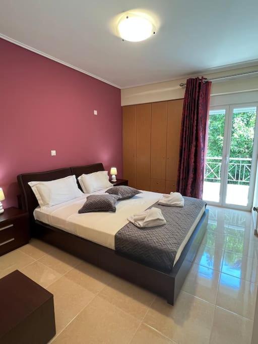 Comfortable apartment at skouze hill