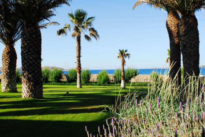 Villa Bellonia