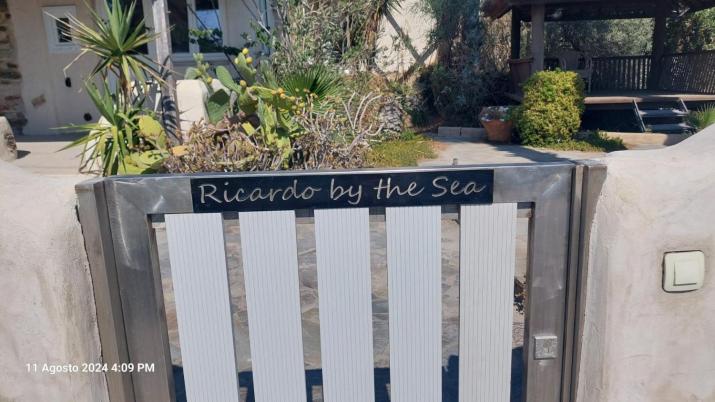 Ricardo by the sea