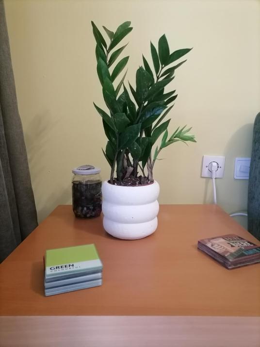 Cosy, feel-good apartment in Thessaloniki