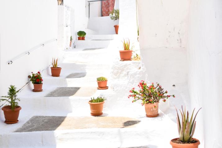 Maria's House - Chamezi