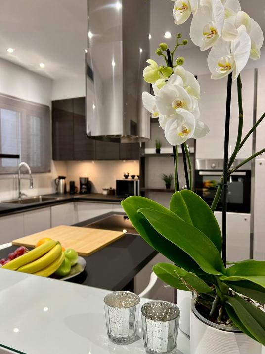 Acropolis View Deluxe Penthouse & Luxury Apartments