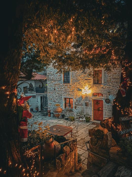 ΑΡΧΟΝΤΙΚΟ ΑΡΤΕΜΙΣ-Villa Artemis since 1871
