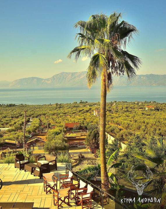 Anthidon Nature Estate & Farm