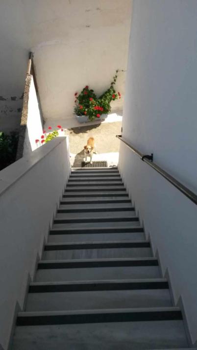 Kostas Studios Apartments - Ενοικιαζόμενα δωμάτια με κουζινάκι