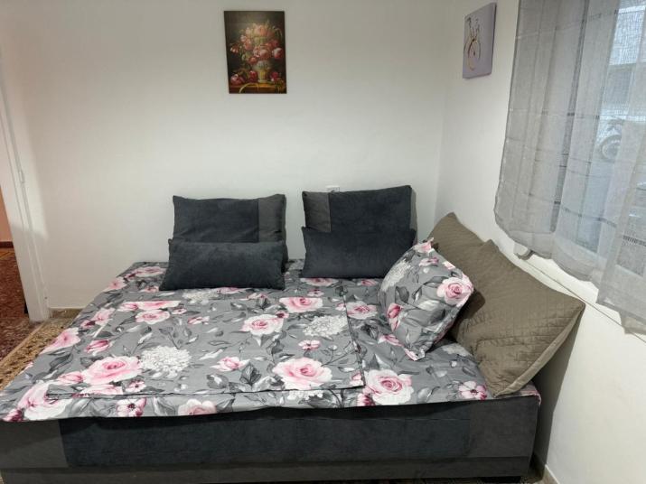 Beautiful and Remodeled Apartment 1A