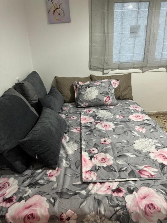 Beautiful and Remodeled Apartment 1A