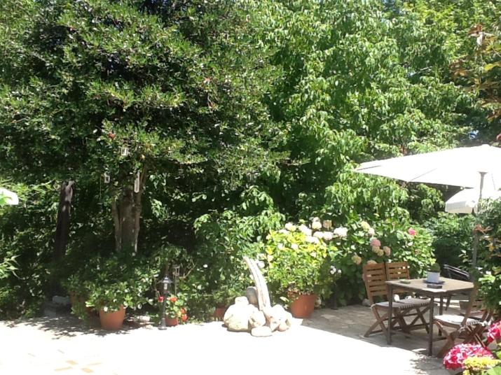 Guesthouse Kleopatra's