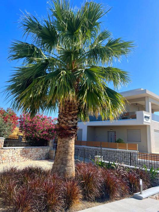 ARYVE Townhouse Rhodos mit Akropolis- und Meerblick sowie Jacuzzi und tollen Sonnenterrassen und Garten