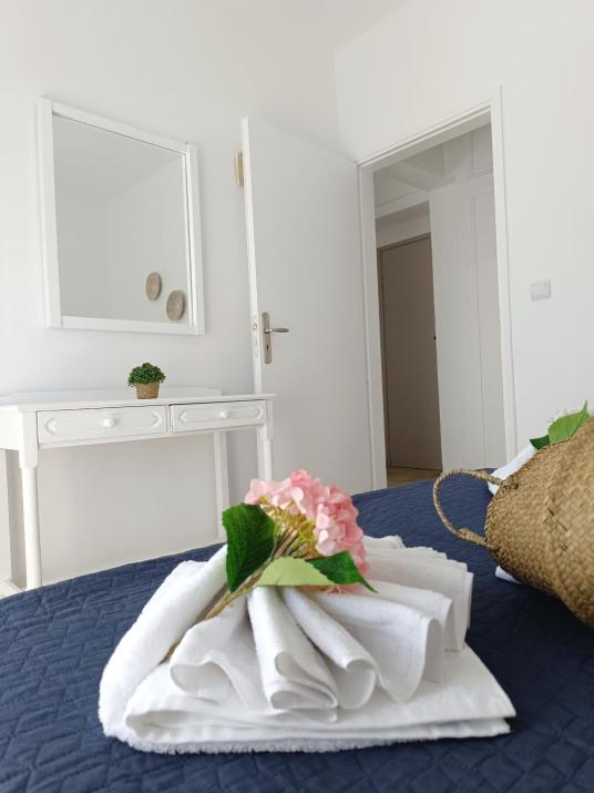 Nautilus City Studios & Apartments