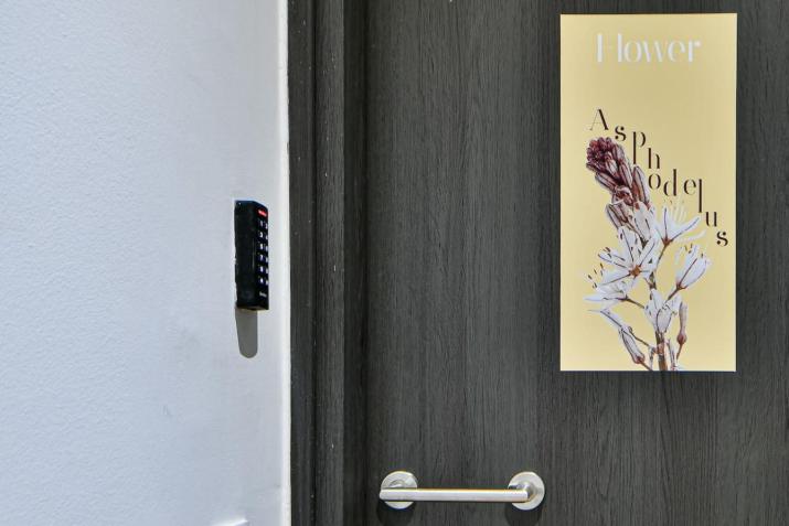 Modern Flat in Central Athens - Asphodelus