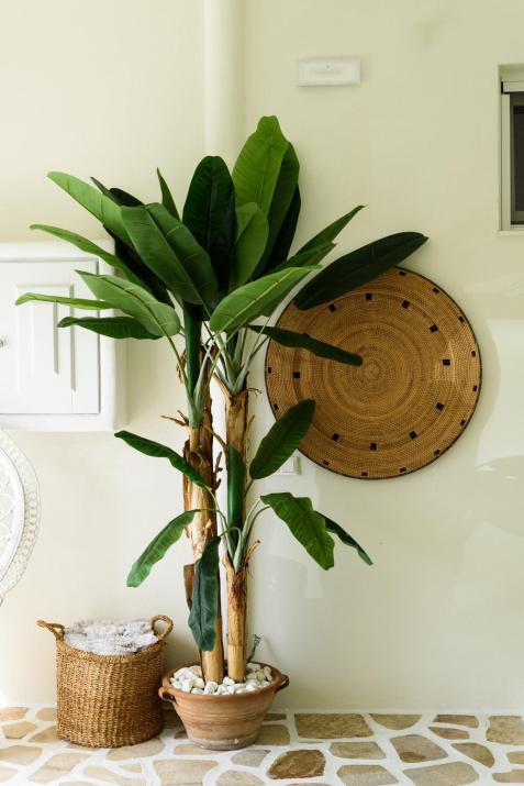 Vammos Luxury Residences