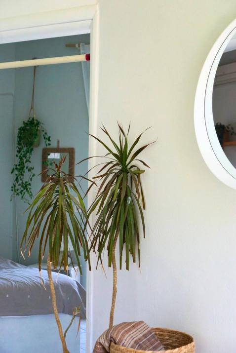 Casa Ikigai Peaceful Kos Stay