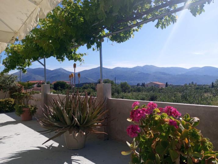 BABI'S VILLA - Garden apartment