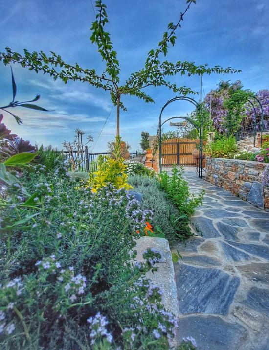 To giataki tou pappou