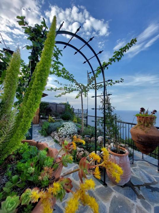 To giataki tou pappou