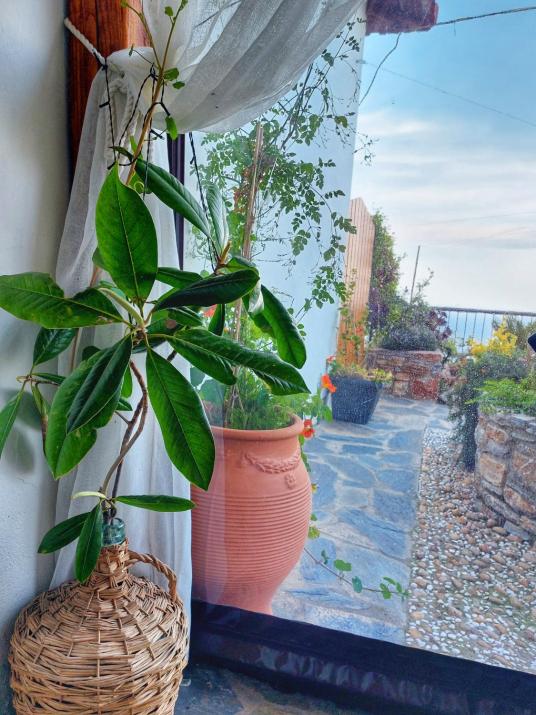 To giataki tou pappou