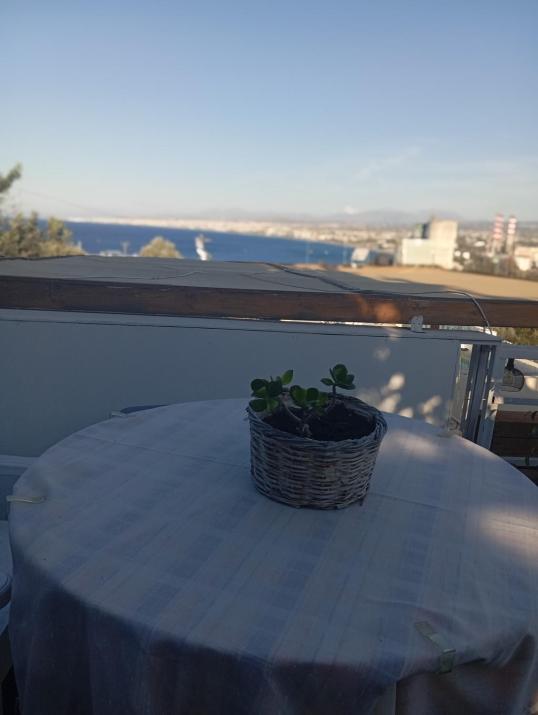 Queens Luxury Glamping