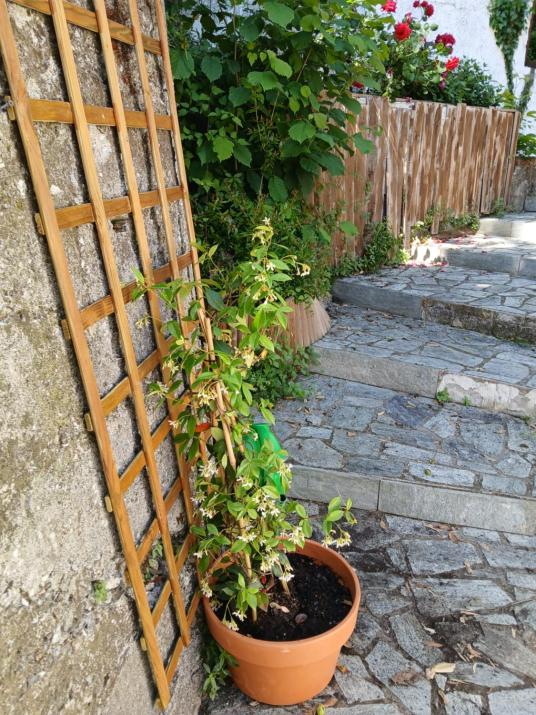 Mountain and Sea view