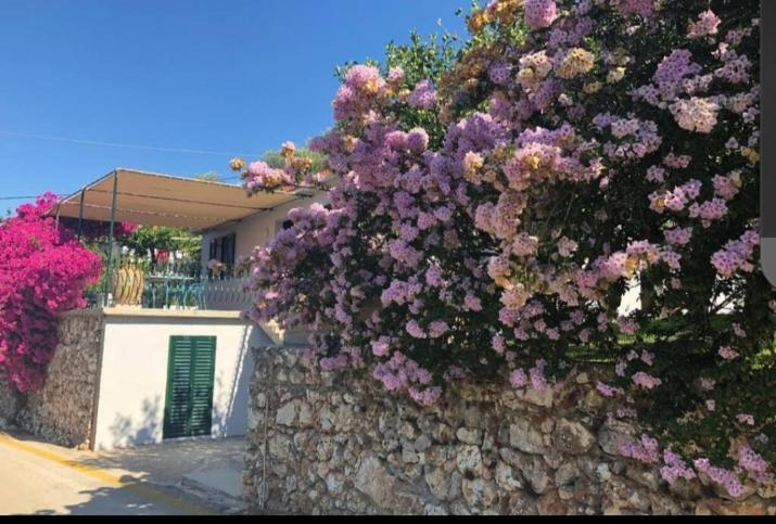 Konstantinas House, a touch of nature & sea