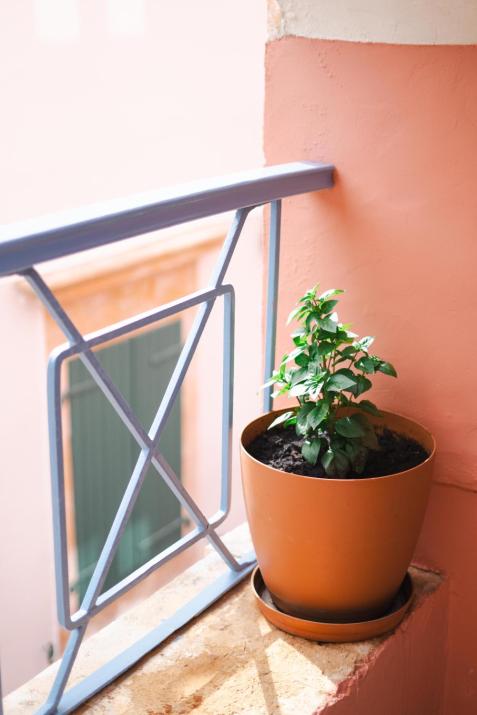 Authentic Suites in Fiscardo (Archontiko)