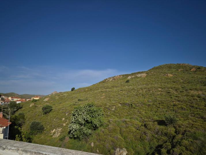 Kostas Studios Apartments - Ενοικιαζόμενα δωμάτια με κουζινάκι