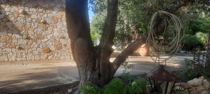 Traditional Stone House in Kerkira Argyrades