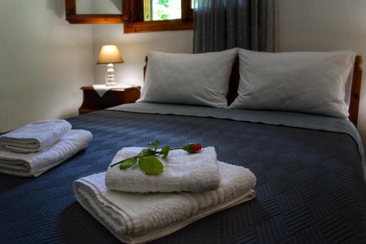 Λευκή Καμέλια