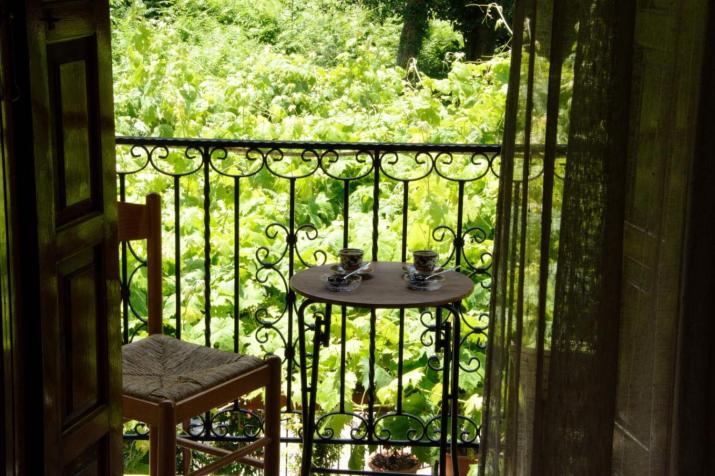 Λευκή Καμέλια