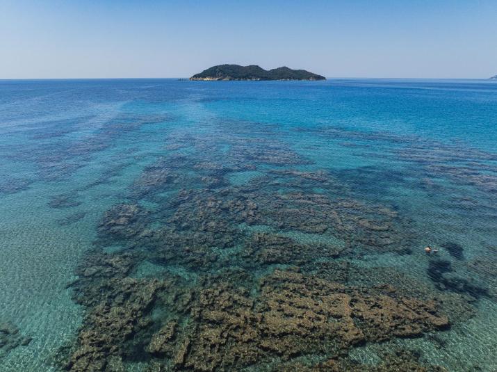 Tortuga Dafni Bay Villas Diver's Paradise by 