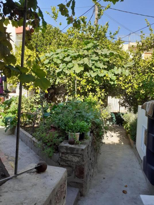 Hidden Garden