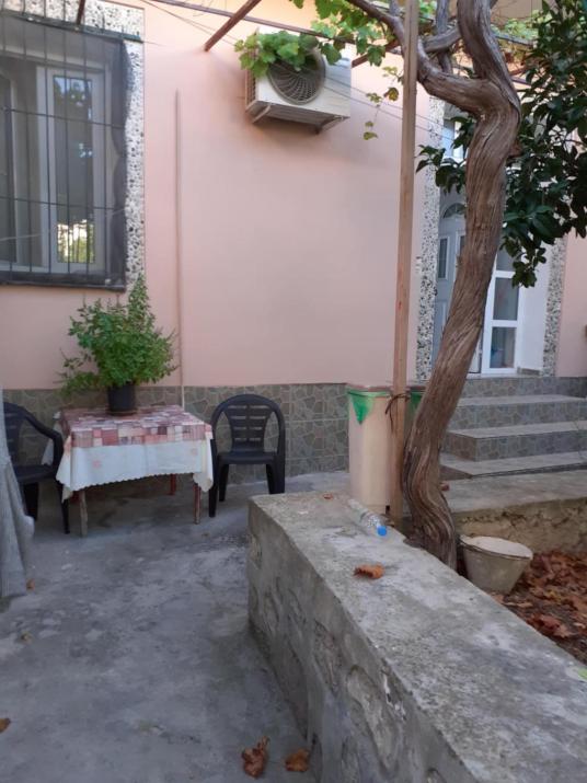Hidden Garden