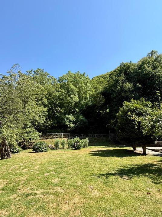 The Cottage in the Trees