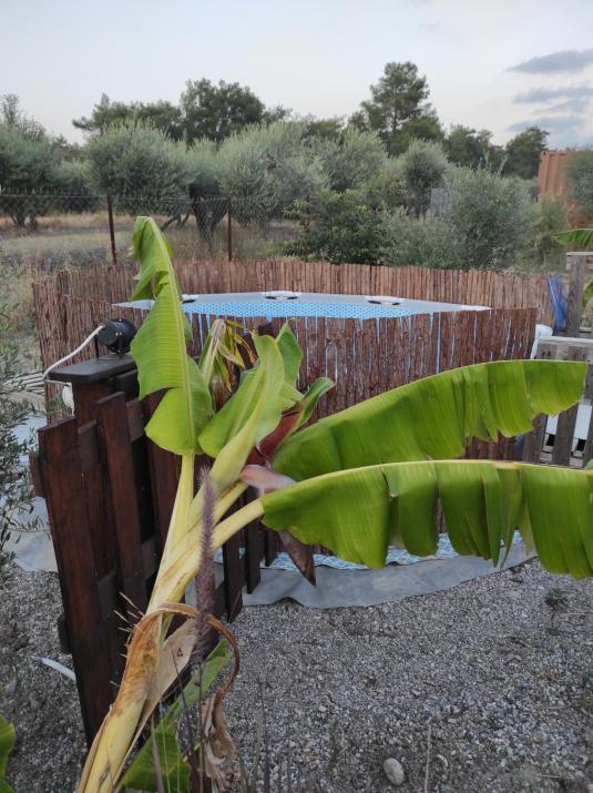 Mountain View Bungalows Dimilia