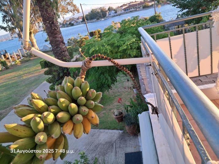 Top floor on villa, 3' from center, by the sea! Host is Efi Kwsta