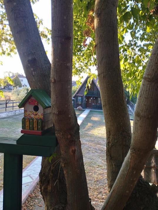 Traditional Guesthouse