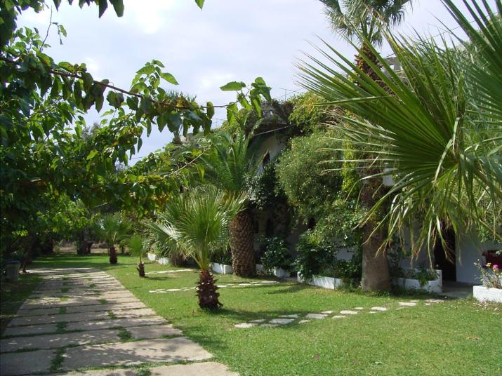 Damnoni Paradise