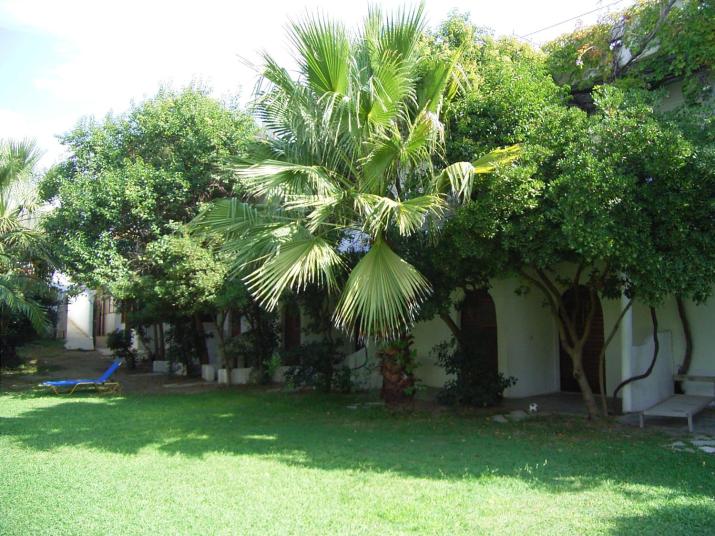 Damnoni Paradise