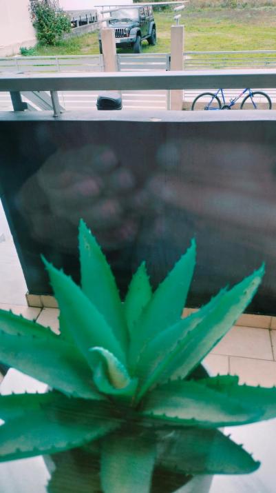 Andromache's Cozy Villa close to Meteora-Trikala