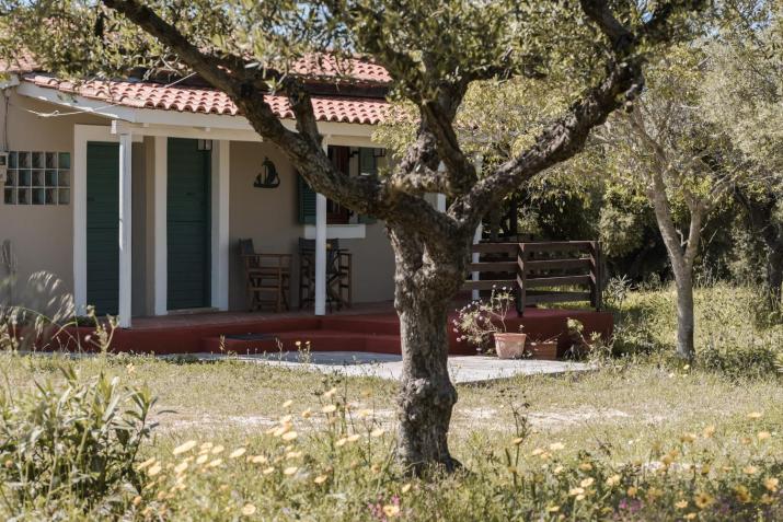 Lithies Organic Farm