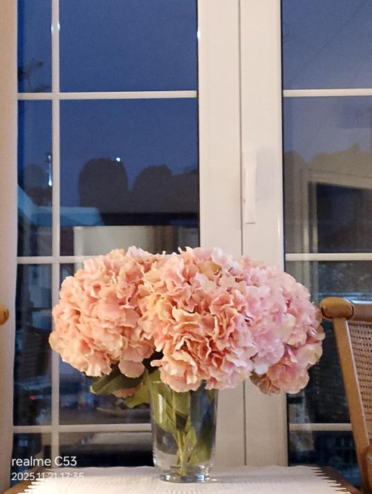 Zara'sHomeMeteora-The House Of The Rising Sun!