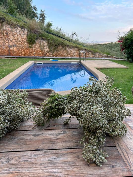 Physis Villas Chania