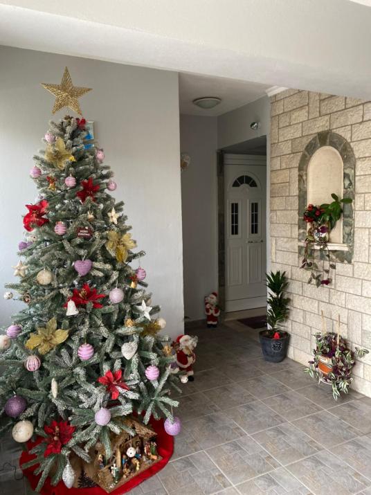 Aleksandras Διαμερίσματα