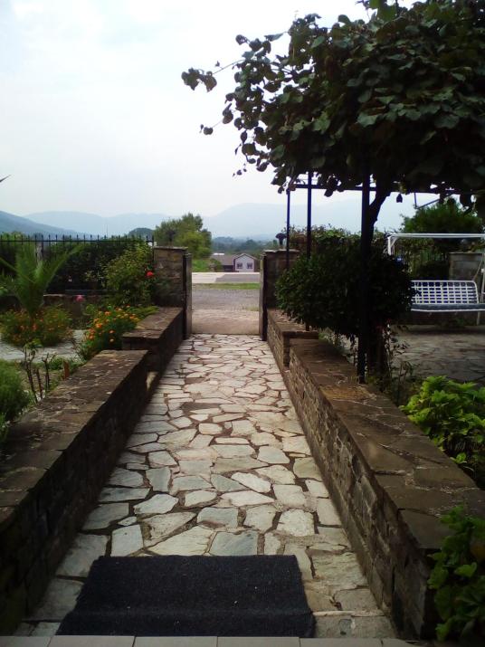 Hotel Aoos
