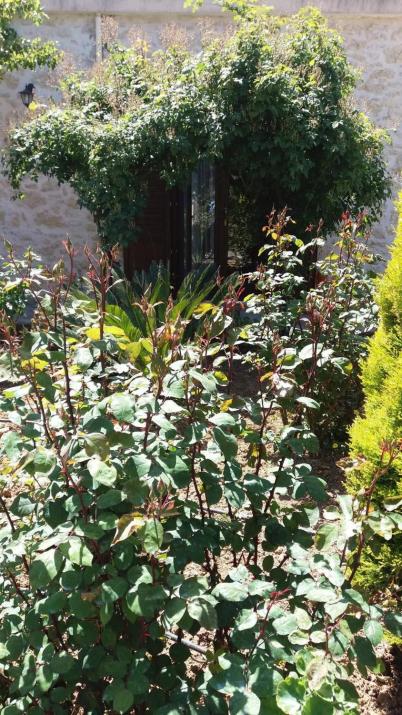 Artemisia Traditional Home