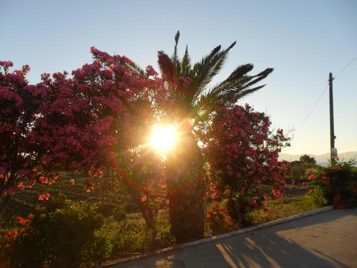 Miros Hotel Apartments