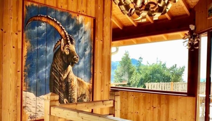 Hotels Les Catrems & Le Montagnou