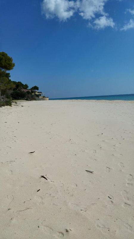 Mare a Santa Margherita - Spettacolare casa fronte mare